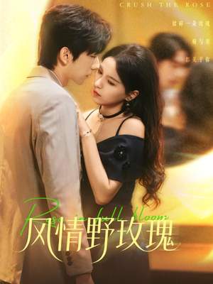 风情野玫瑰（70集）去哪里看