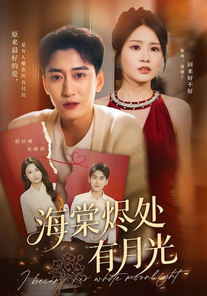 海棠烬处有月光（70集）热门短剧又来了