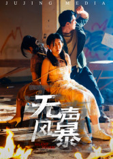 无声风暴（33集）夸克在线观看