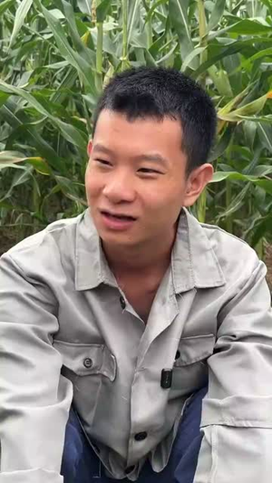 崖边的迎春花第一部（78集）真的好看吗