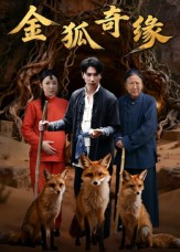 金狐奇缘（42集）一个短剧看全集
