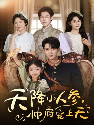 天降小人参，帅府宠上天（83集）网上可以看吗