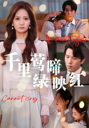 千里莺啼绿映红（63集）真的太精彩了