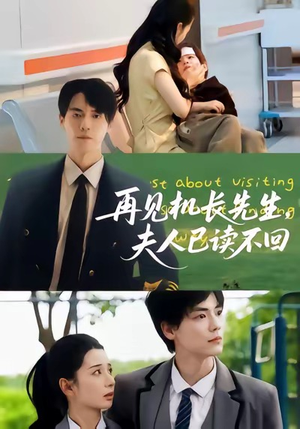 再见机长先生夫人已读不回（62集）全集一次看完