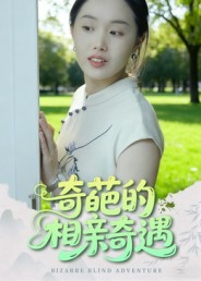 奇葩的相亲奇遇（17集）好看短剧又来了