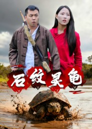 石纹灵龟(30集) 石纹灵龟(30集)男主角是谁