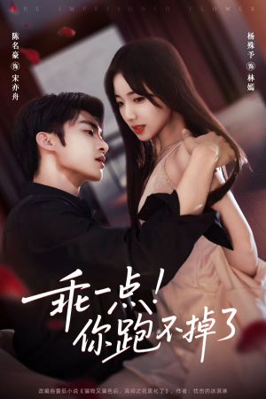 乖一点!你跑不掉了(80集) 乖一点!你跑不掉了(80集)短剧全集完整