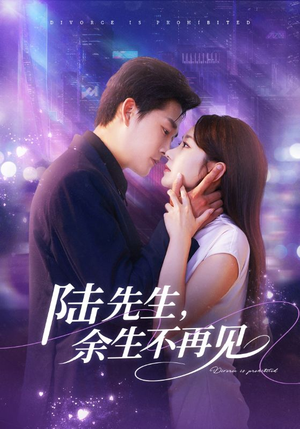 陆先生，余生不再见（88集）最后一集