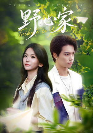 野心家（65集）网络小短剧