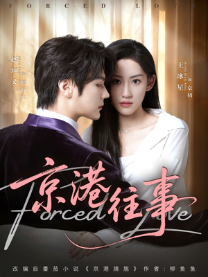 京港往事（80集）热门短剧追不停