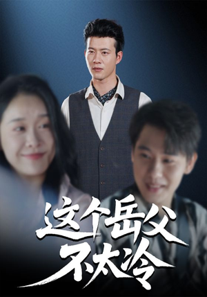 这个岳父不太冷（30集）短剧全集完整