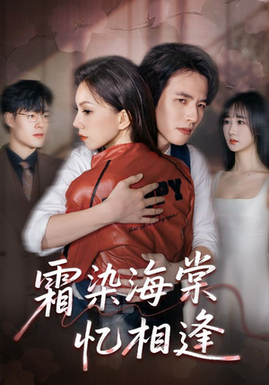 霜染海棠忆相逢（72集）免费观看