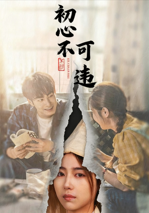 初心不可违（62集）最火短剧推荐