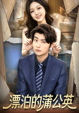 漂泊的蒲公英（60集）短剧免费看全集