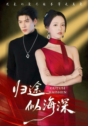 归途似海深(61集) 归途似海深(61集)番茄免费短剧