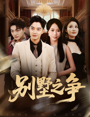 别墅之争（59集）全剧免费观看