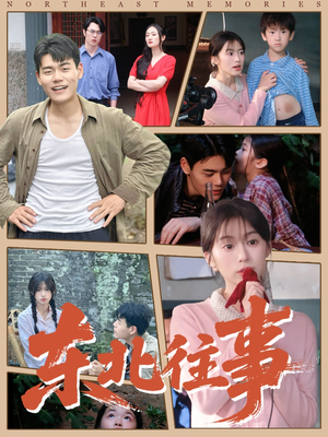 东北往事（60集 ）精彩好看短剧