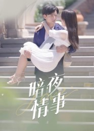 暗夜情事(100集) 暗夜情事(100集)超甜短剧抢先看
