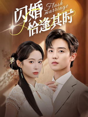 闪婚恰逢其时（53集）红果免费短剧