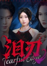 泪刃（40集）追短剧看全集