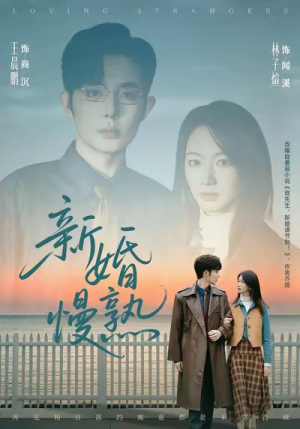 新婚慢熟（105集）精彩短剧热播