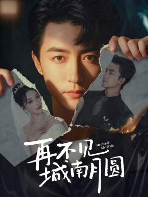 再不见城南月圆（60集）短剧完整版免费