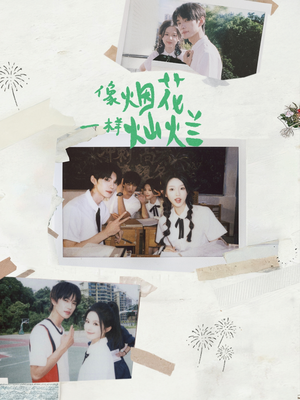 像烟花一样灿烂（60集）好看短剧追不停