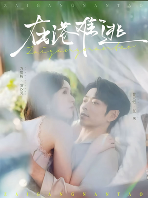 在港难逃（75集）河马免费短剧