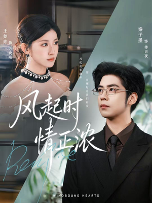 风起时情正浓(79集) 风起时情正浓(79集)女频短剧推荐