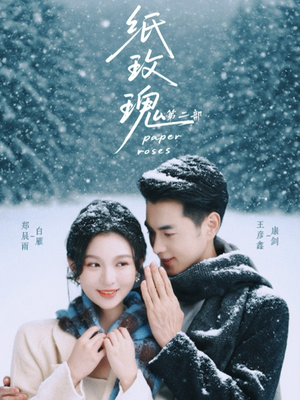 纸玫瑰第二部(80集) 纸玫瑰第二部(80集)我全都看完了