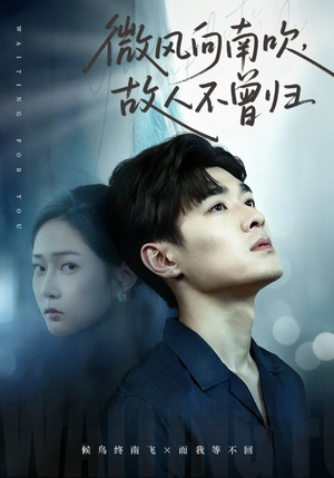 微风向南吹,故人不曾归(72集) 微风向南吹,故人不曾归(72集)高清画质免费看