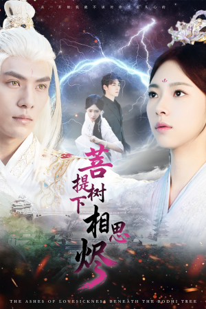 菩提树下相思烬（63集）追短剧关注我