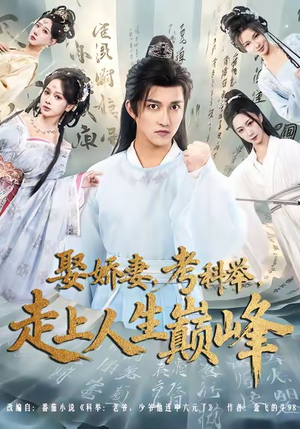 娶娇妻,考科举,走上人生巅峰(80集) 娶娇妻,考科举,走上人生巅峰(80集)精彩短剧分享