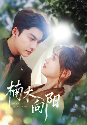 楠木向阳（70集）热门爆款短剧