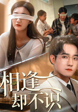 相逢却不识（77集）热播短剧分享