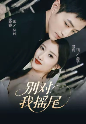 别对我摇尾（59集）短剧爆款推荐