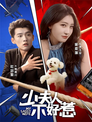 少夫人不好惹(61集) 少夫人不好惹(61集)全季一次看完