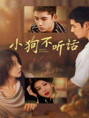 小狗不听话（70集）好看的短剧电影