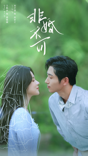 非婚不可(65集) 非婚不可(65集)最火的短剧