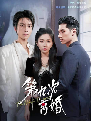 第九次离婚（62集）视频在线看