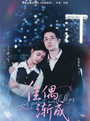 佳偶渐成(71集) 佳偶渐成(71集)大结局完美收官