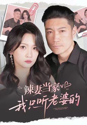 辣妻当家，我只听老婆的（50集）剧情简介