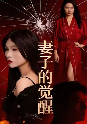 妻子的觉醒（34集）热播短剧追不停