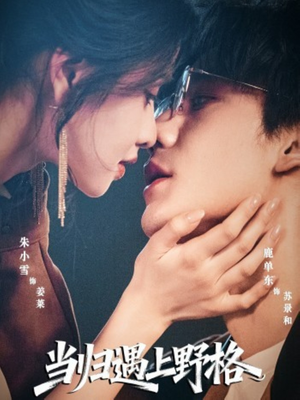 当归遇上野格（66集）贝贝短剧分享