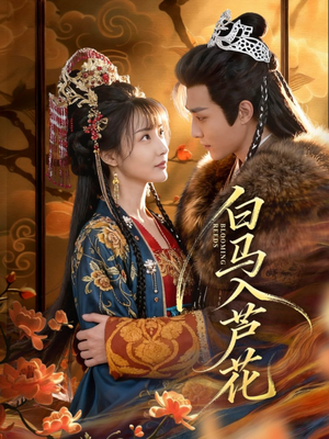 白马入芦花(59集) 白马入芦花(59集)免费看全网短剧