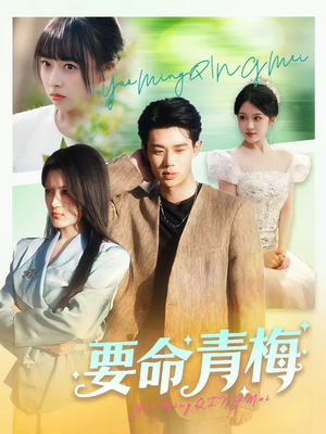 要命青梅（60集）免费在线看