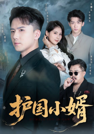 护国小婿（60集）全网独播免费看