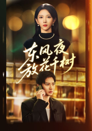 东风夜放花千树（91集）热门短剧分享