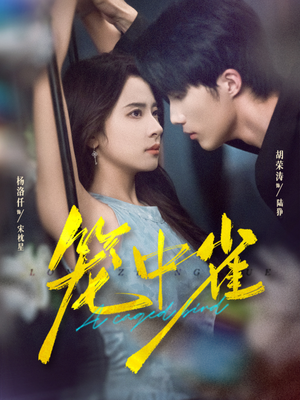 笼中雀(65集) 笼中雀(65集)短剧介绍