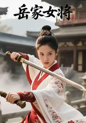 岳家女将（20集）排行榜前十短剧